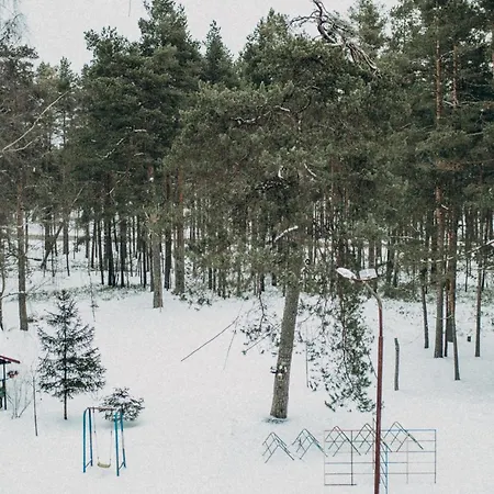 Forest & Sea * Jūrkalne